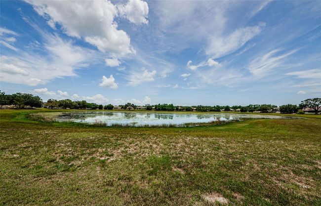14008 Lugano Ct, House other with 3 bedrooms, 3 bathrooms and null parking in HUDSON FL | Image 48