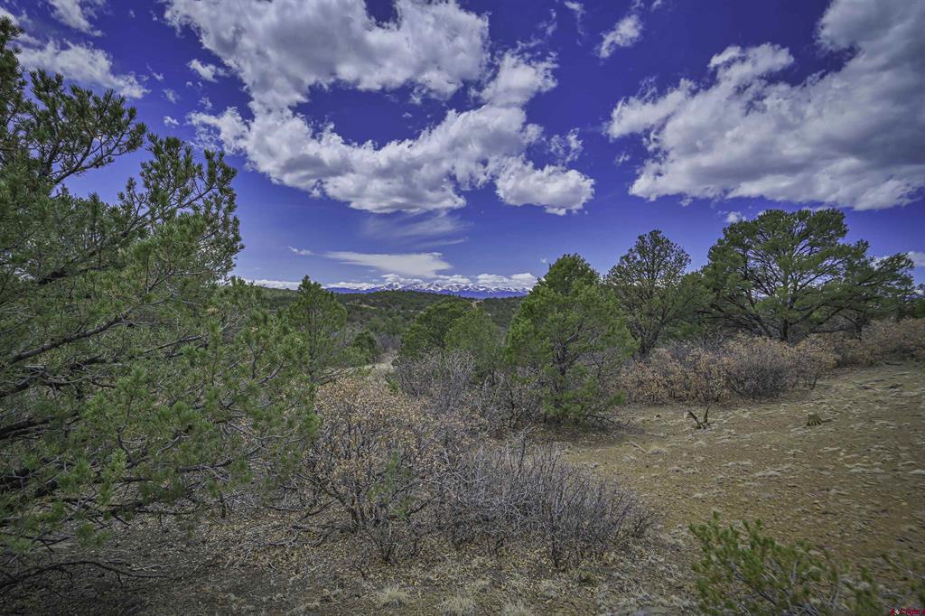 Land in Weston 3
