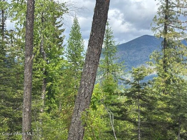 18 Majestic Mountain Rd, Home with 0 bedrooms, 0 bathrooms and null parking in Clark Fork ID | Image 5