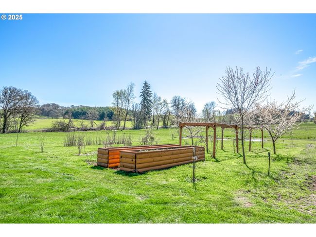 Garden | Image 43