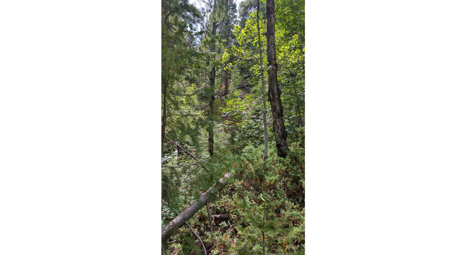 Land in Duck Creek Village 3