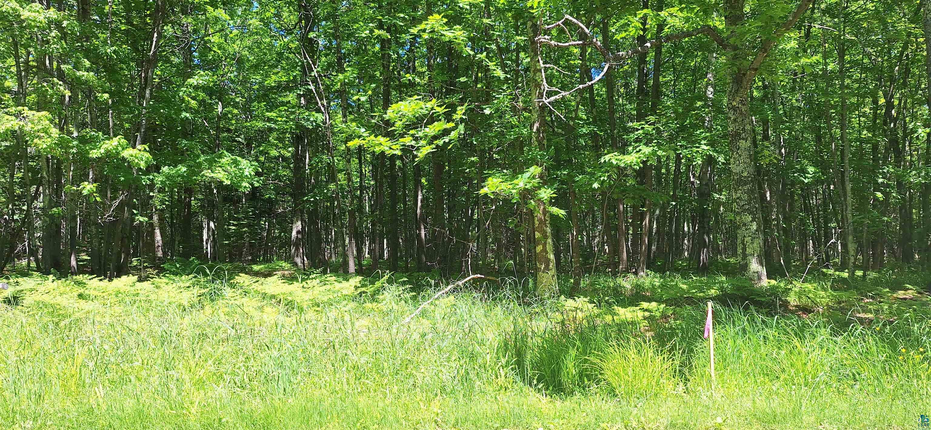 Land in La Pointe 4