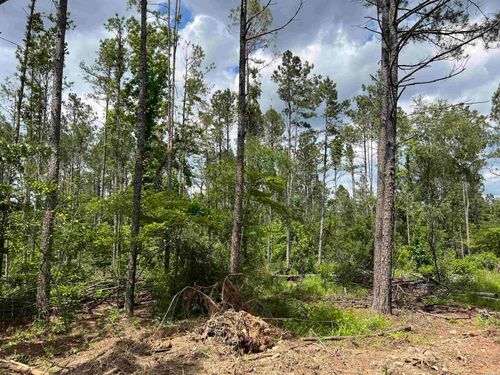 xx Hwy 369, Amity, AR, 71921 | Card Image