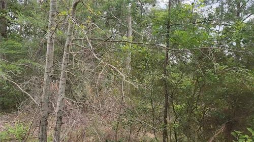 Lot 10 Sweetleaf Ln, Plantersville, TX, 77363 | Card Image