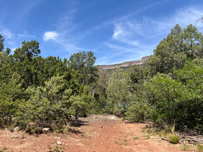 994 San Diego Loop, House other with 1 bedrooms, 0 bathrooms and null parking in Jemez Springs NM | Image 6