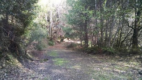 100 Moore Ranch Road, Weitchpec, CA, 95546 | Card Image