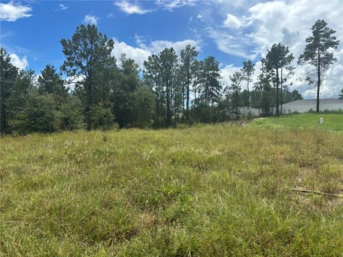 12828 Sw 86th Cir, OCALA, FL, 34473-4936 | Card Image