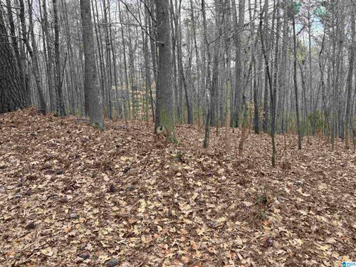 0-6901 Sellers Rd, Dora, AL, 35062-2407 | Card Image