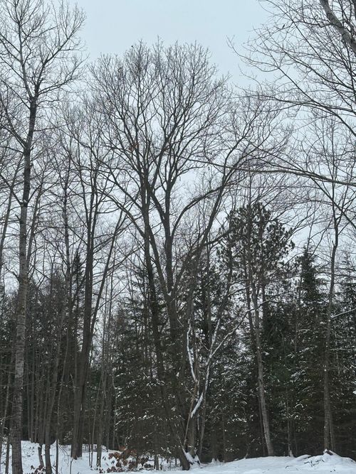 ON Sth 17, RHINELANDER, WI, 54501 | Card Image