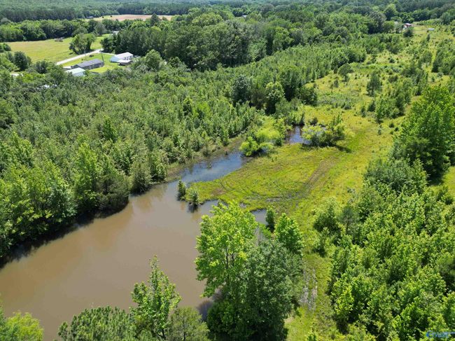 14 Acres Beaver Creek Rd, Home with 0 bedrooms, 0 bathrooms and null parking in Laceys Spring AL | Image 10