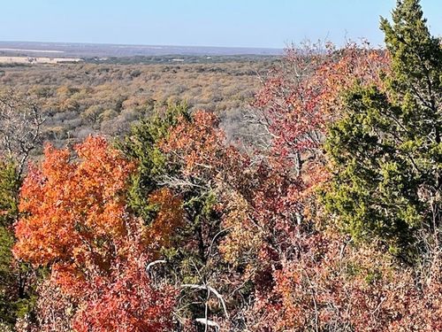 TBD Pecan Shell Rd, Desdemona, TX, 76445 | Card Image