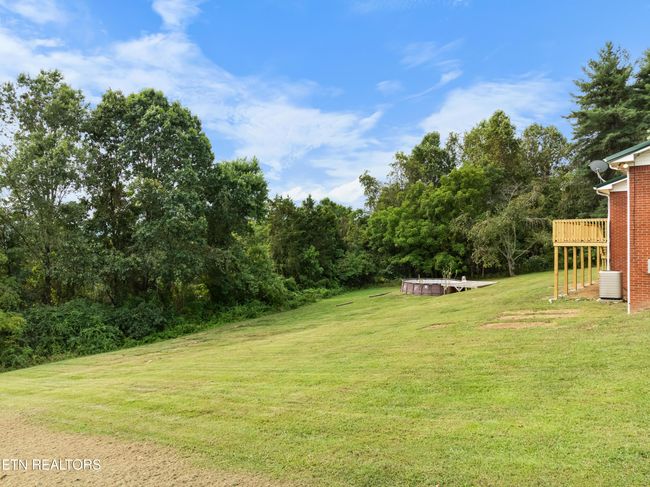 Back yard | Image 31