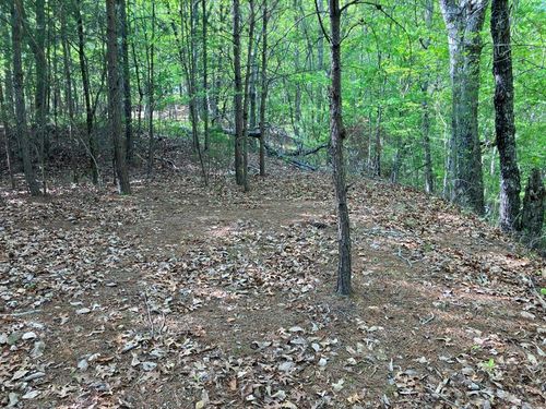 LT24 Mission Ridge Ct, Hayesville, NC, 28904 | Card Image