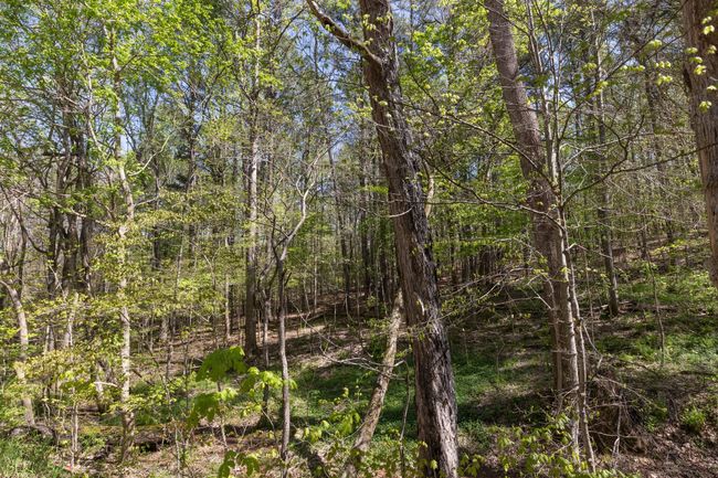 0 Muddy Branch Rd, Home with 0 bedrooms, 0 bathrooms and null parking in Clarksville TN | Image 7