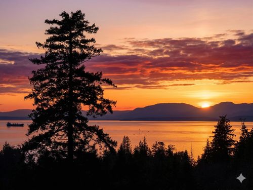 11f-6138 Birney Avenue, Vancouver, BC, V6S0N1 | Card Image