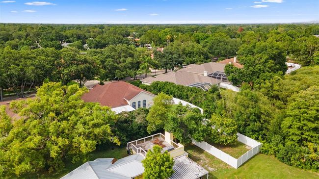 10310 Carroll Cove Pl, House other with 4 bedrooms, 4 bathrooms and null parking in Tampa FL | Image 56