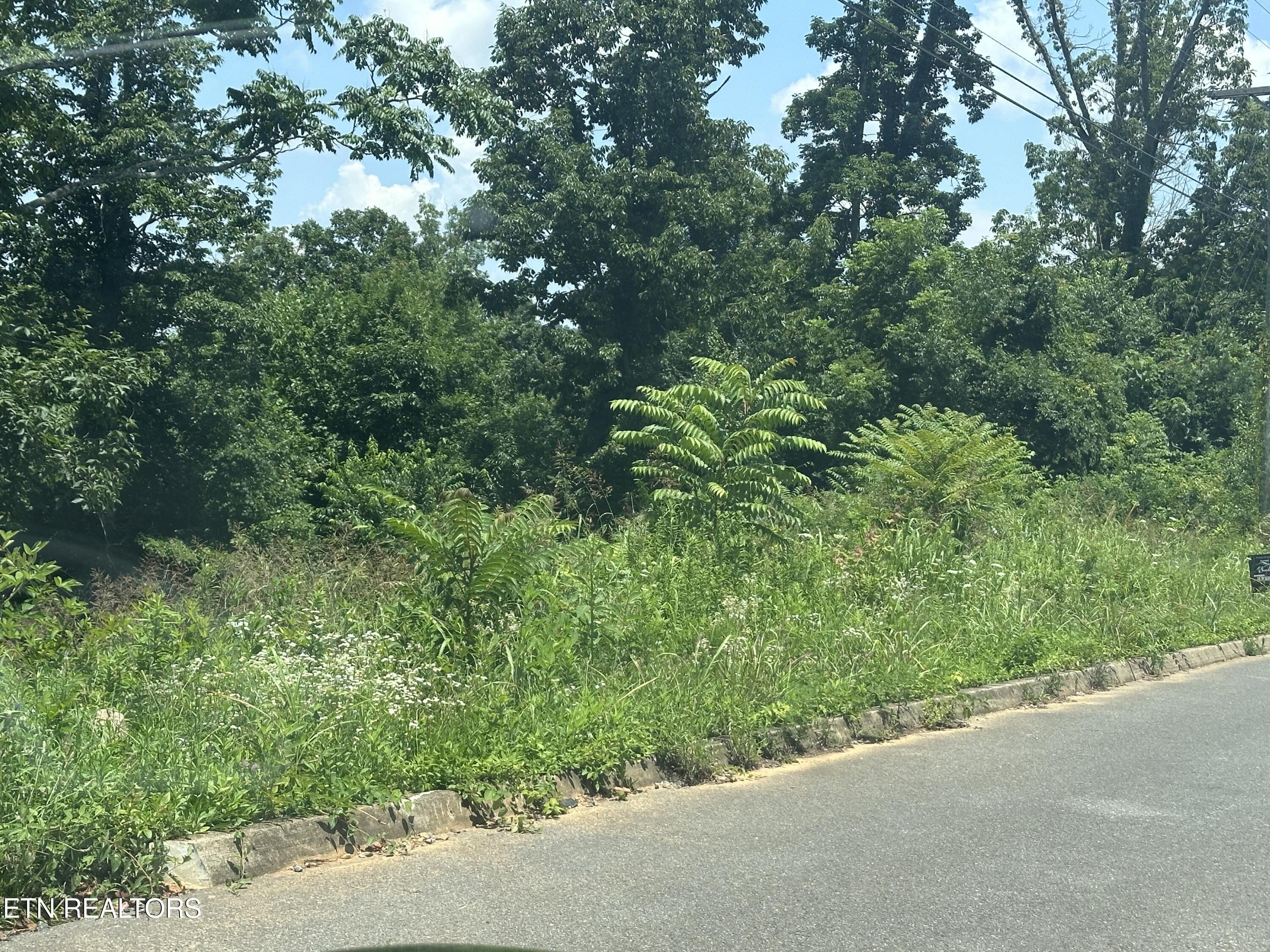 Land in Dandridge 3