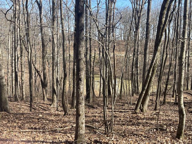 80 High Point Ln, Home with 0 bedrooms, 0 bathrooms and null parking in Jasper TN | Image 105