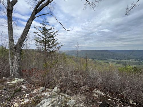 6123 Jackson Point Rd, Sewanee, TN, 37375 | Card Image