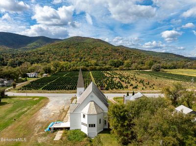 View facing west over the Christmas tree farm | Image 3