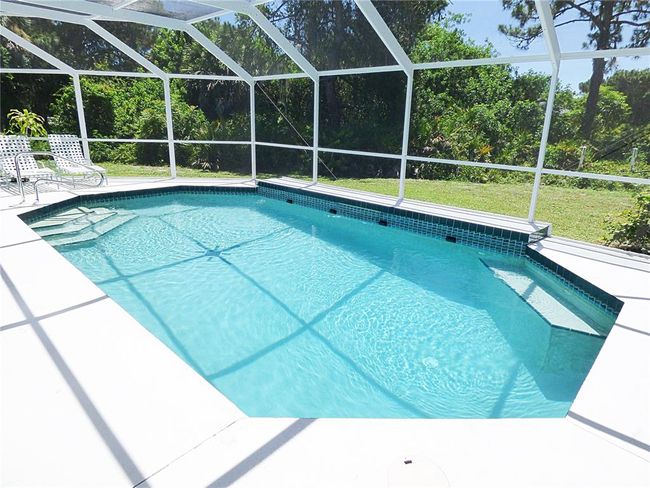Lap Pool, with therapy jet and water fall enjoy pricacy in your future pool | Image 6