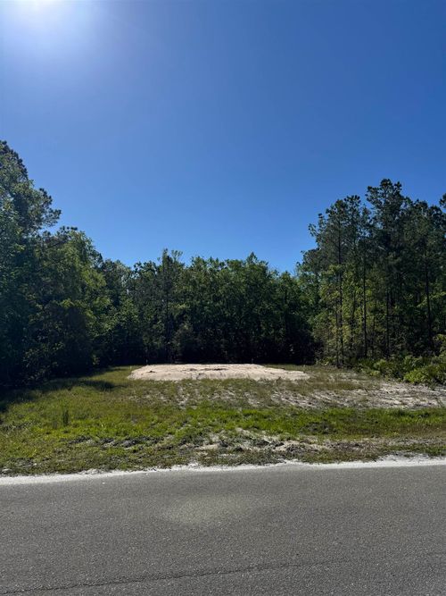 xx Old Palmetto Path, ST MARKS, FL, 32355 | Card Image