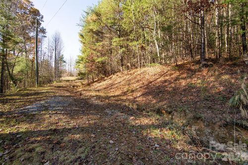 99999 Big Raven Ln, Saluda, NC, 28773 | Card Image