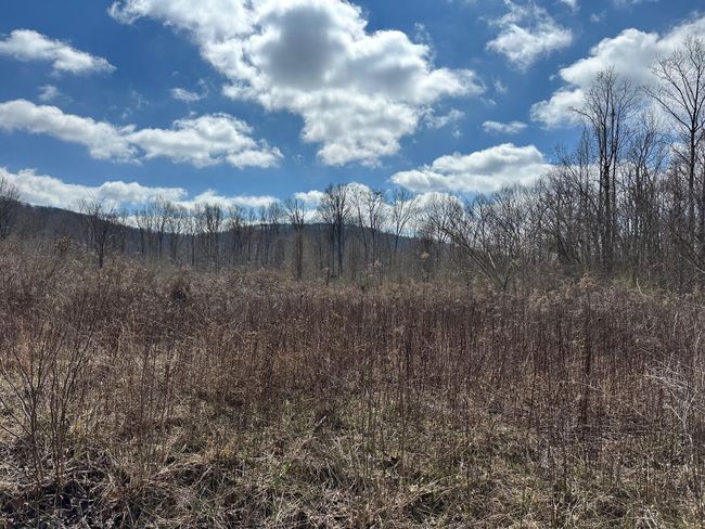 126 Northcutts Cove Rd, Home with 0 bedrooms, 0 bathrooms and null parking in Beersheba Springs TN | Image 6
