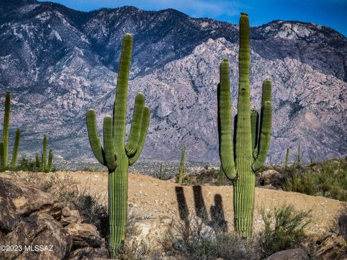 562-478 W Granite Gorge Dr, Oro Valley, AZ, 85755 | Card Image