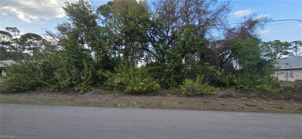 Land in LEHIGH ACRES 2