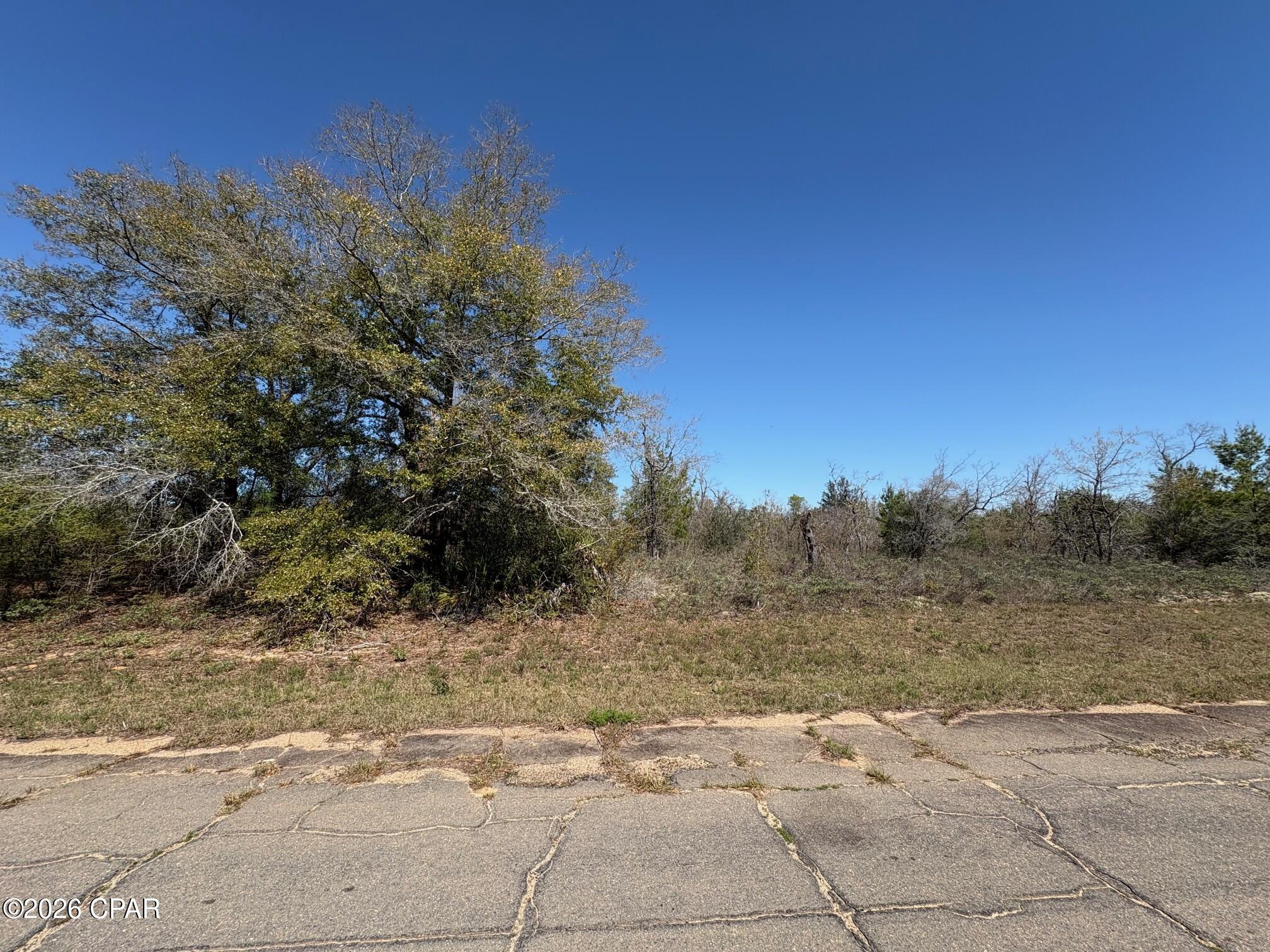 Land in Chipley 2
