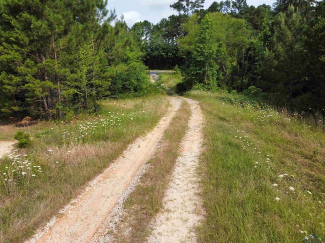 0000 State Highway 43 E, Home with 0 bedrooms, 0 bathrooms and null parking in Tatum TX | Image 11