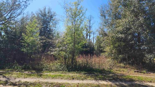 233 Bay St, Hawthorne, FL, 32640-5635 | Card Image