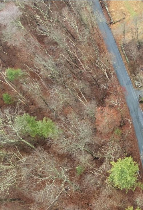 0 Cranberry Ridge Rd, North Scituate, RI, 02857 | Card Image