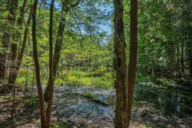 Lot 2 E Amber Lake Rd, Home with 0 bedrooms, 0 bathrooms and null parking in Lac du Flambeau WI | Image 17
