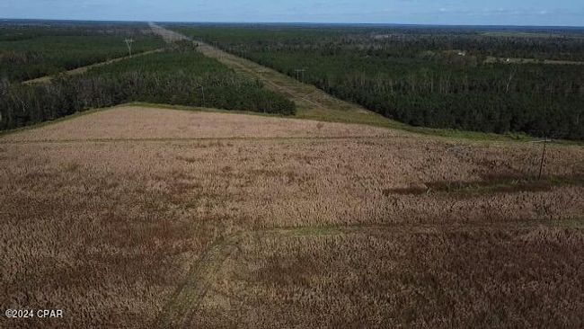 00 State Road 71 N, Home with 0 bedrooms, 0 bathrooms and null parking in Altha FL | Image 7