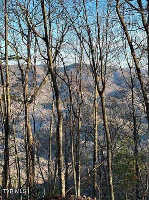 Tbd Forge Creek Road, Mountain City, TN, 37683 | Card Image