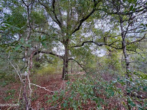 14 Sadorus Ave, ALFORD, FL, 32420 | Card Image