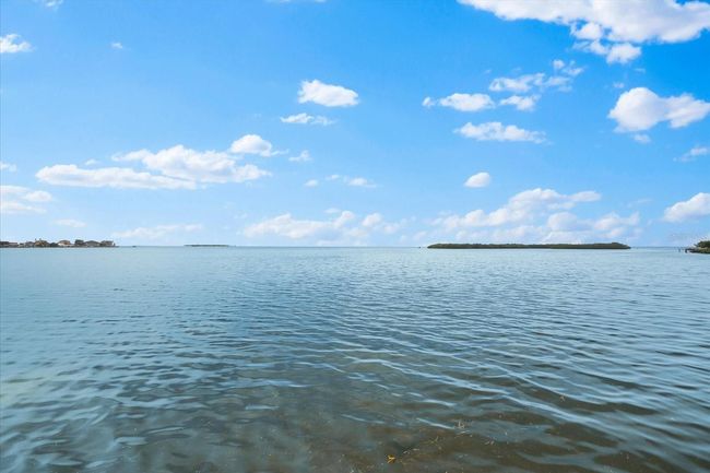 2081 N Pointe Alexis Dr, House other with 4 bedrooms, 3 bathrooms and null parking in TARPON SPRINGS FL | Image 57