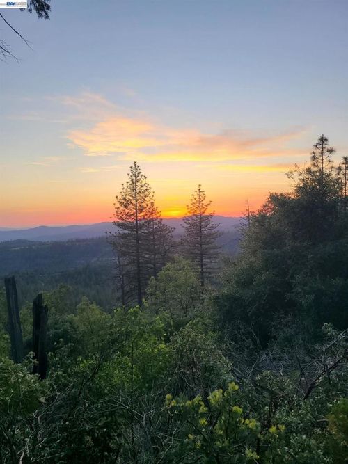 20800 Mount Provo Road, Twain Harte, CA, 95383 | Card Image