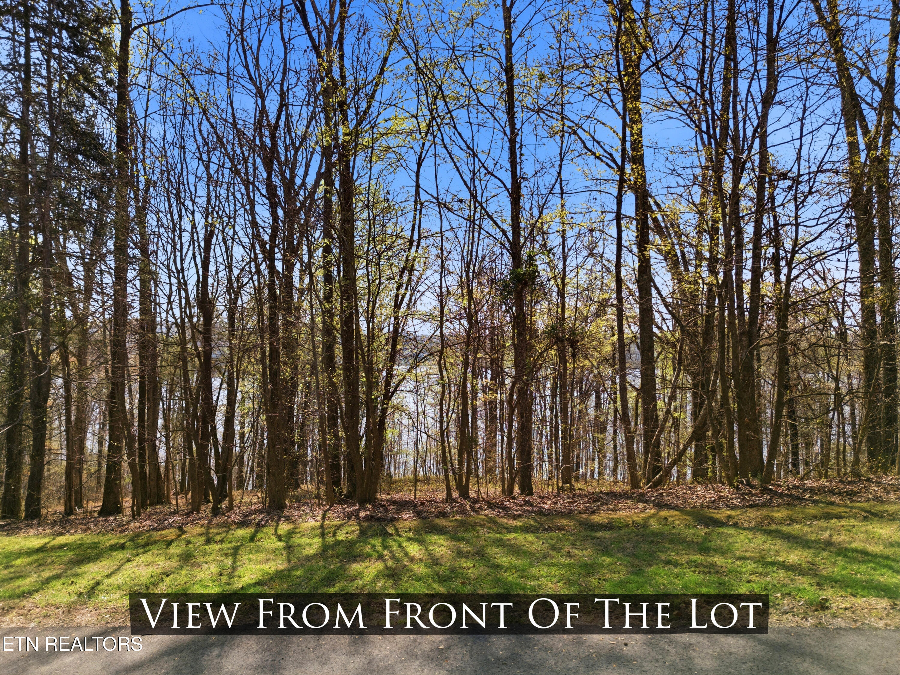 Land in Rockwood 4