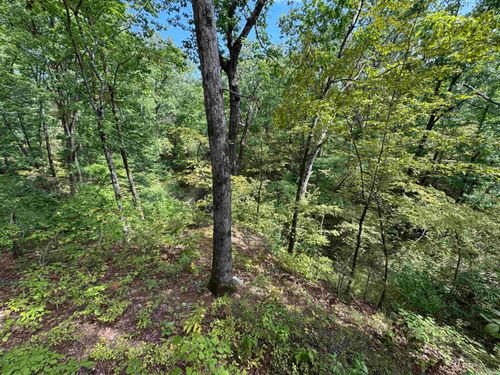 00 Jocote Way, Hot Springs Village, AR, 71909 | Card Image