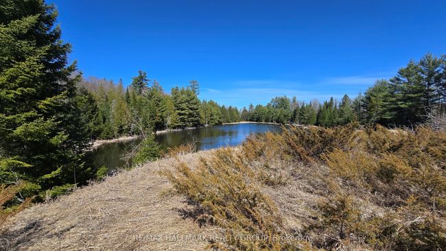 0000 Calabogie Rd, Home with 0 bedrooms, 0 bathrooms and null parking in Burnstown ON | Image 6