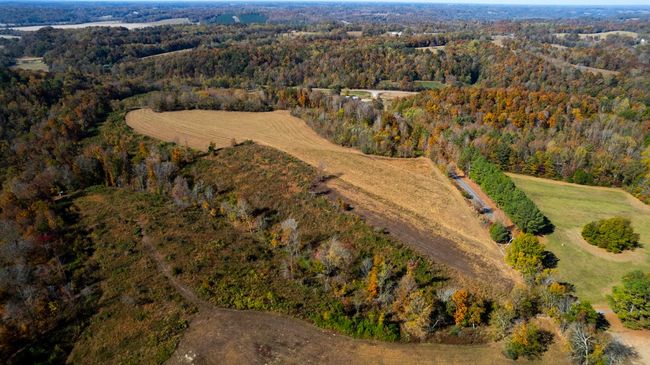 0 Short Cut Rd, Home with 0 bedrooms, 0 bathrooms and null parking in Lester AL | Image 12