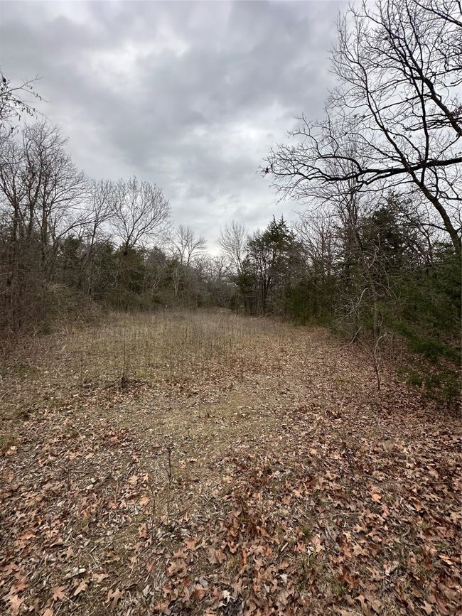 View of nature | Image 13