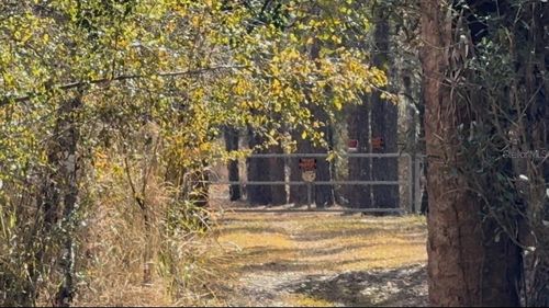 4051-3803 Dixiana Dr, Bowling Green, FL, 33834-4093 | Card Image