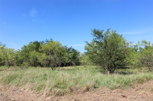 TBD Lot 3 County Road 146, Kaufman, TX, 75142 | Card Image