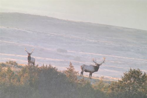 314 Oilfield Road, Glendive, MT, 59326 | Card Image