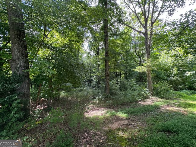 1929 Asbestos Rd, House other with 4 bedrooms, 2 bathrooms and null parking in Sautee Nacoochee GA | Image 35