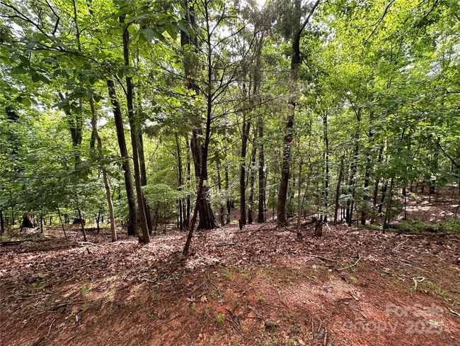 16086 Heron Run Dr, Home with 0 bedrooms, 0 bathrooms and null parking in Tega Cay SC | Image 4
